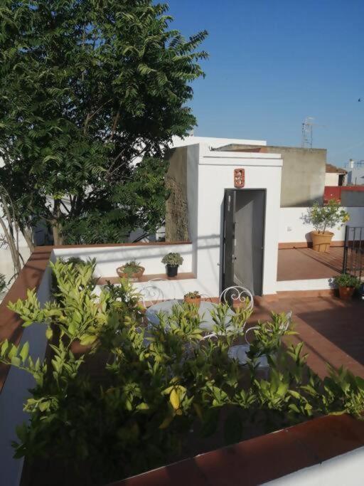 Apartamento El Sosiego Sanlúcar de Barrameda Exterior foto